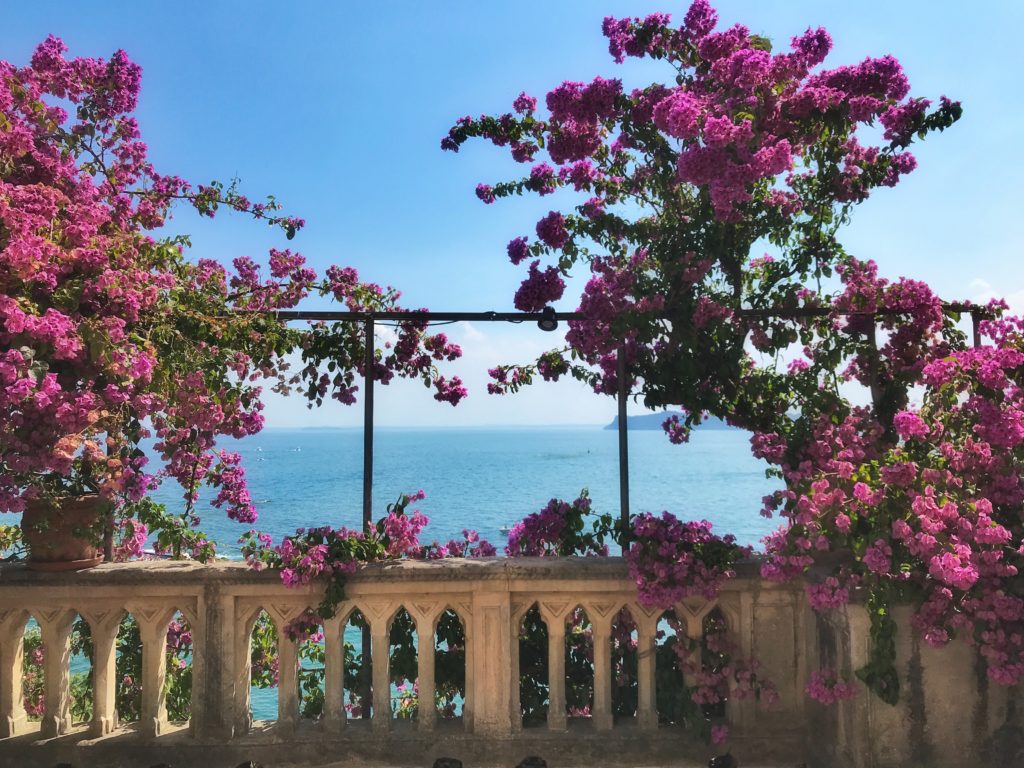 flowering bushes at Isola del Garda on 1 day in Lake Garda